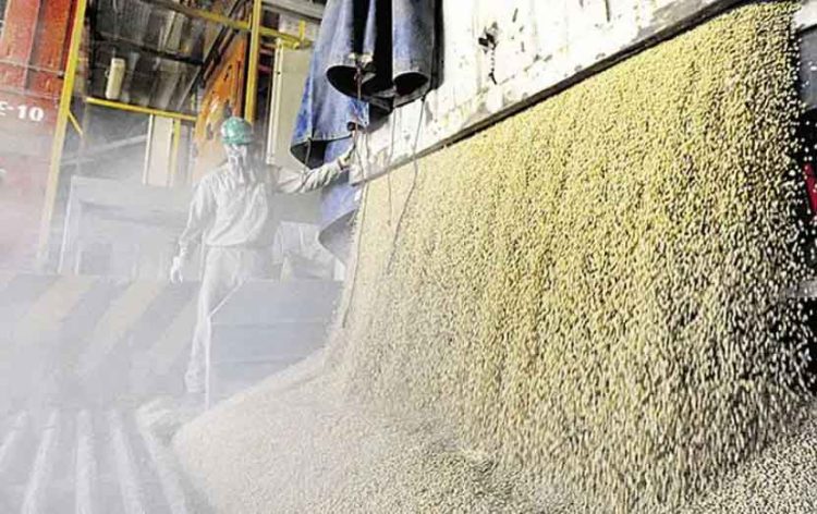 Gobierno Levanta Suspensi N A Exportaci N De Soya Y Sus Subproductos